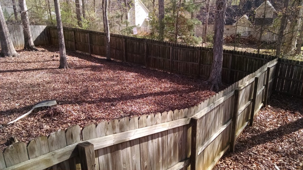 Needs Fence Cleaning - Stain-N-Seal Solution